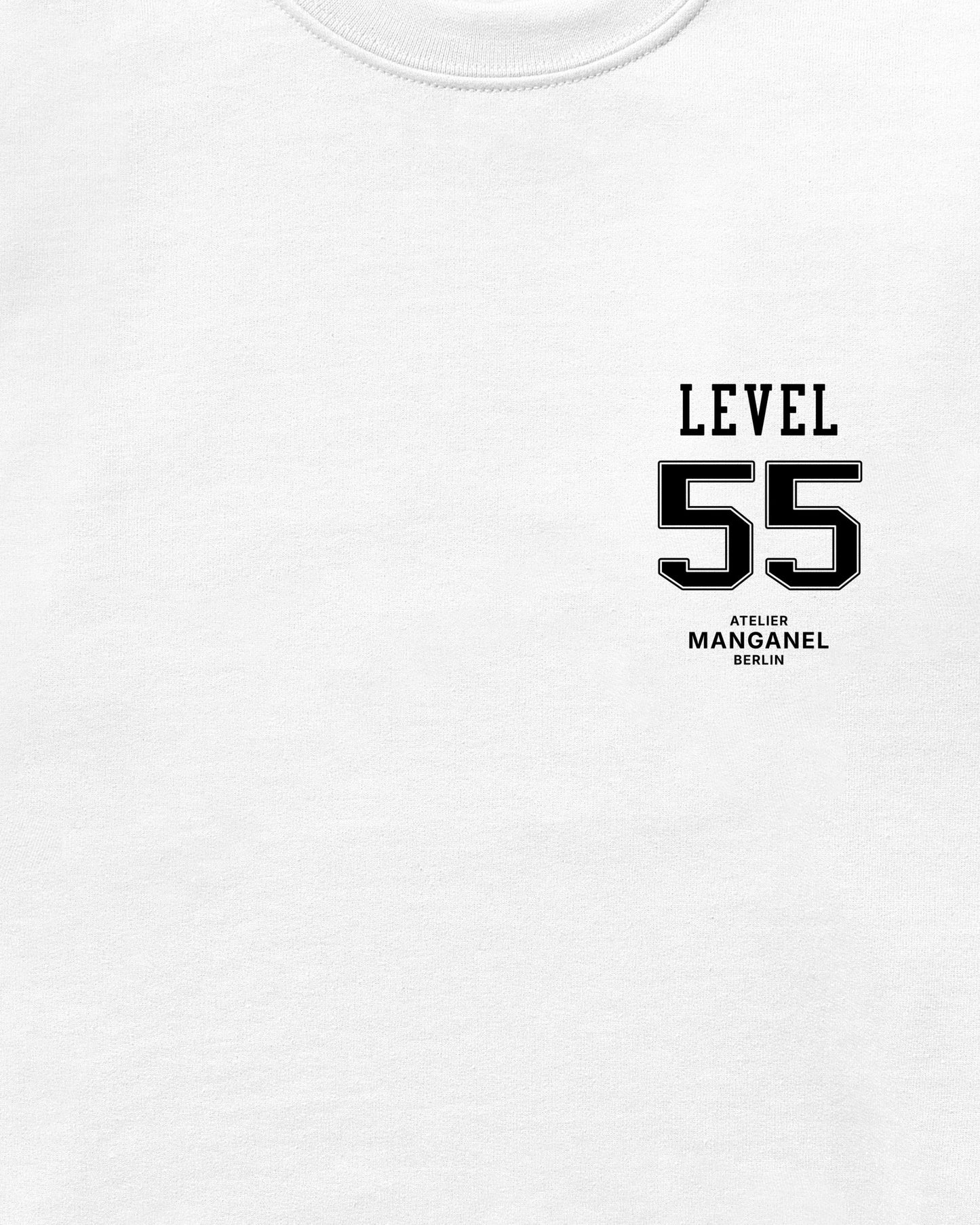 Level 55
