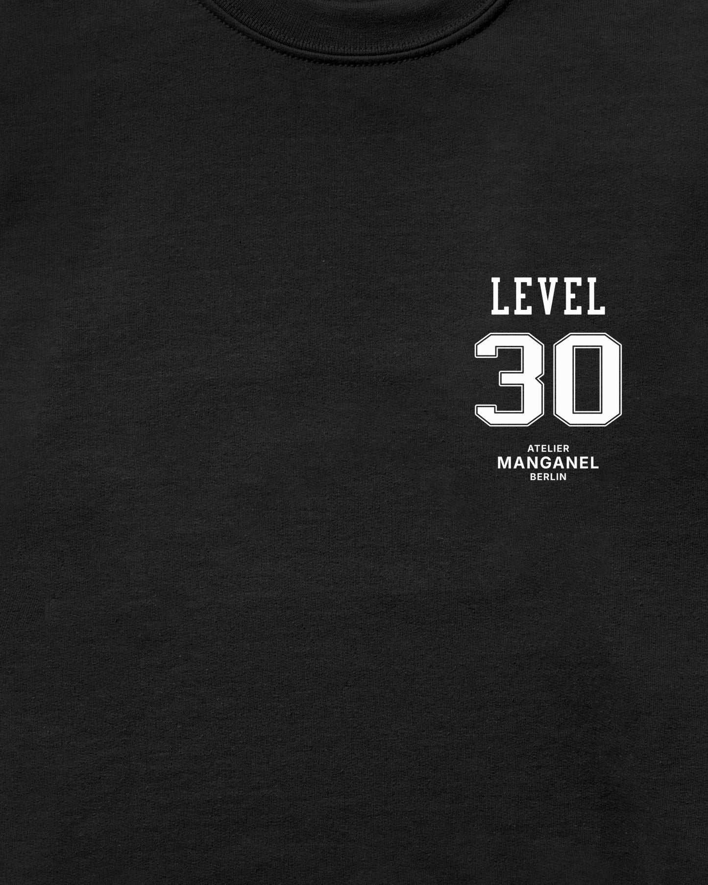 Level 30