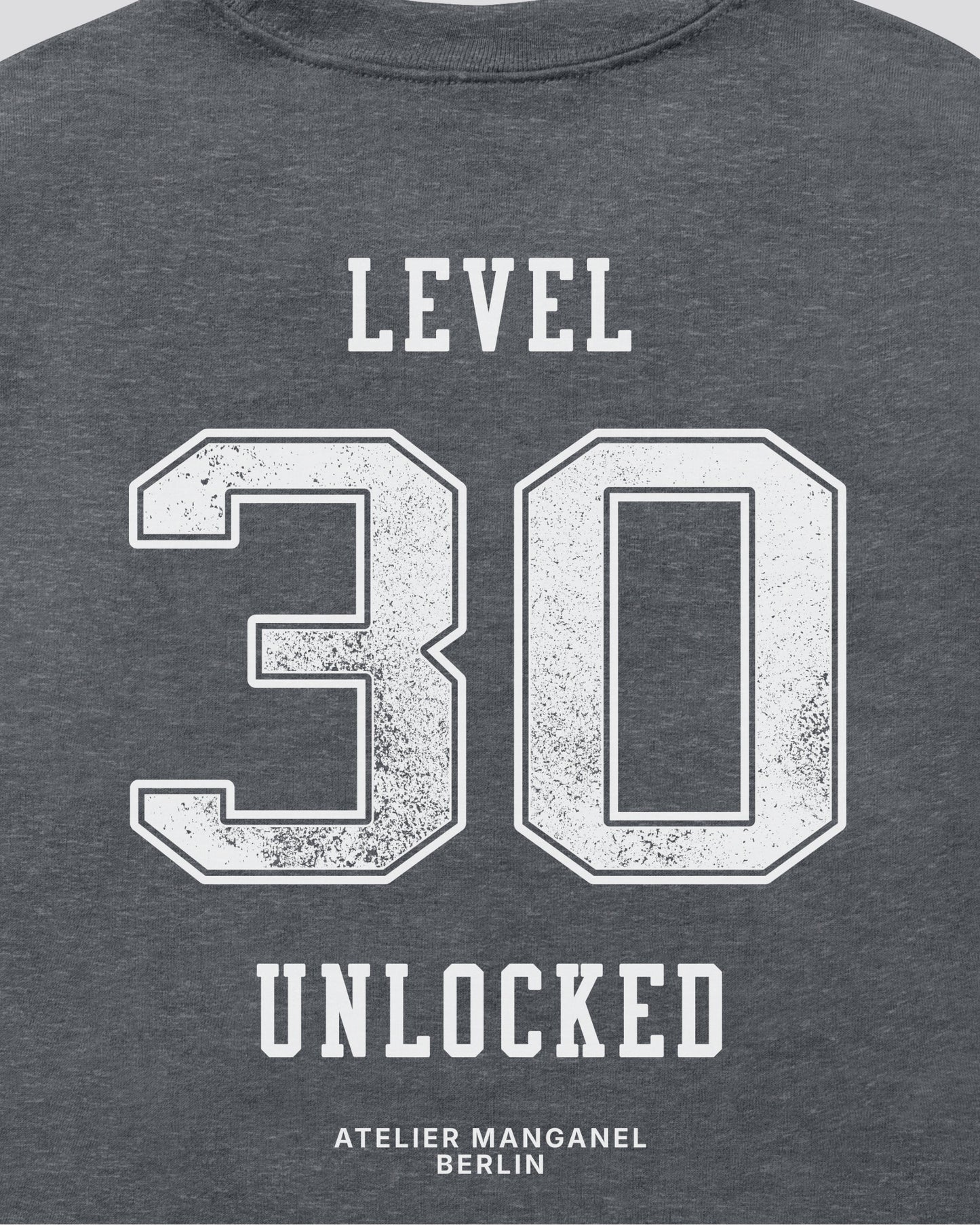 Level 30