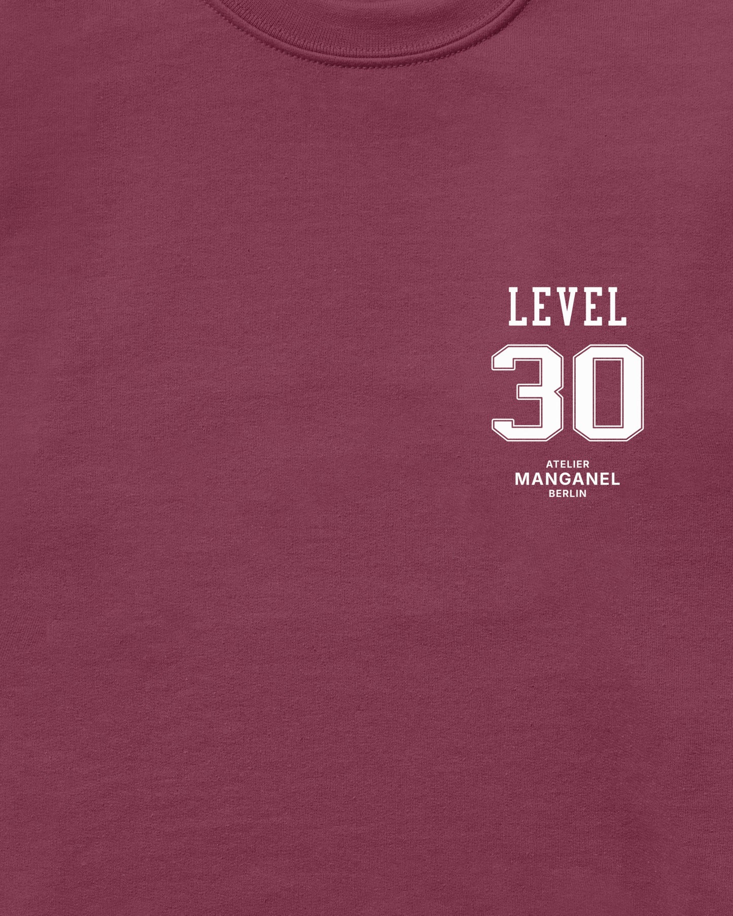 Level 30