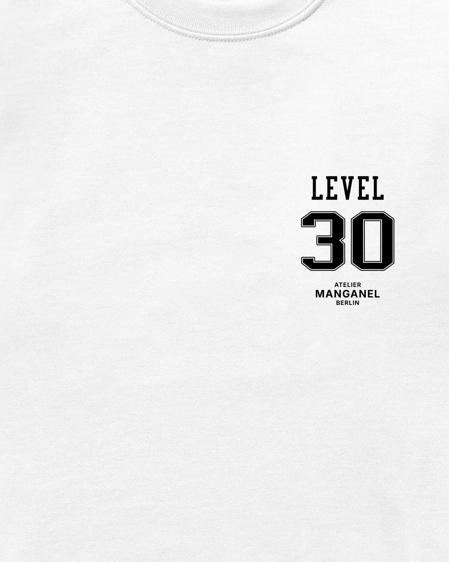 Level 30