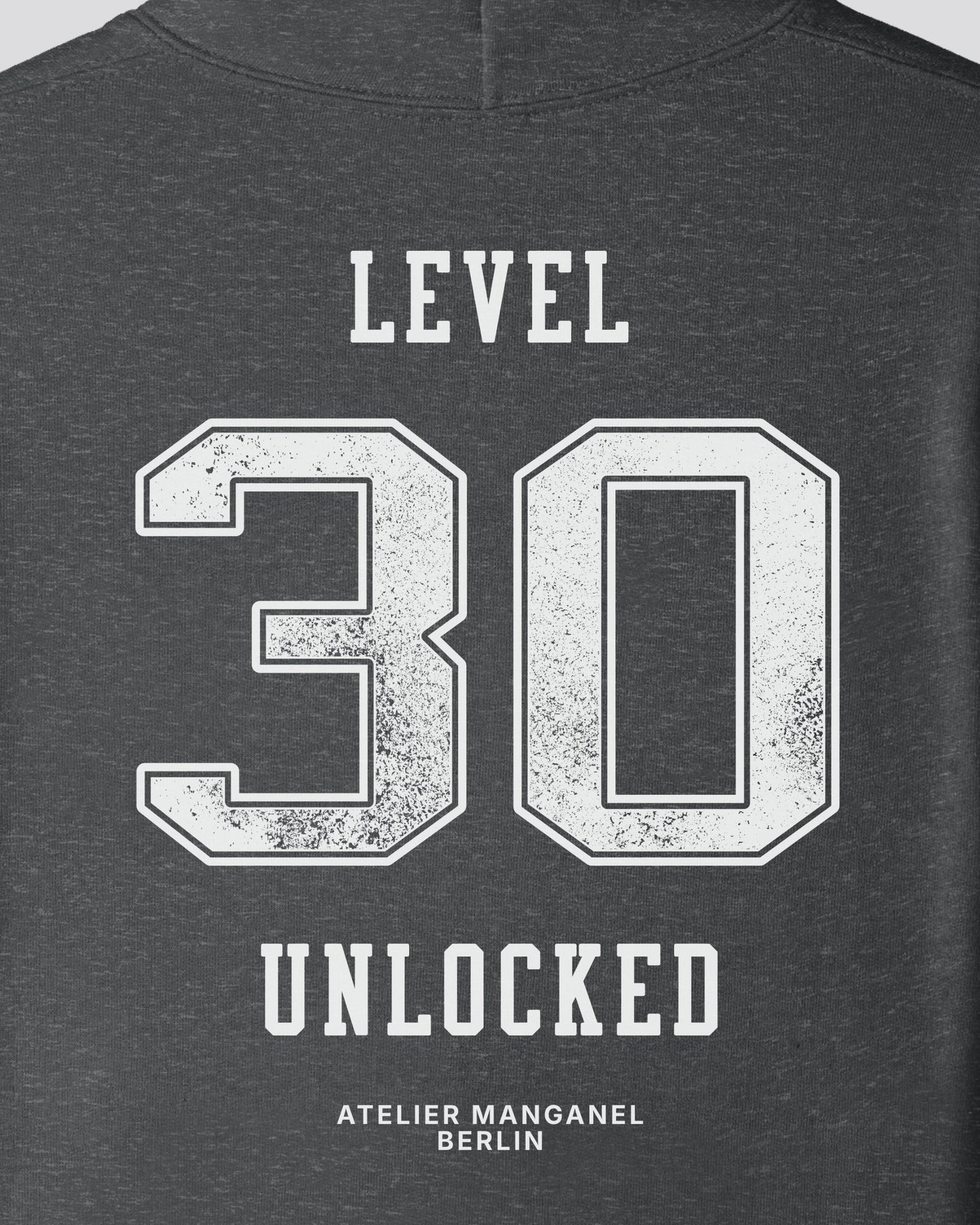 Level 30