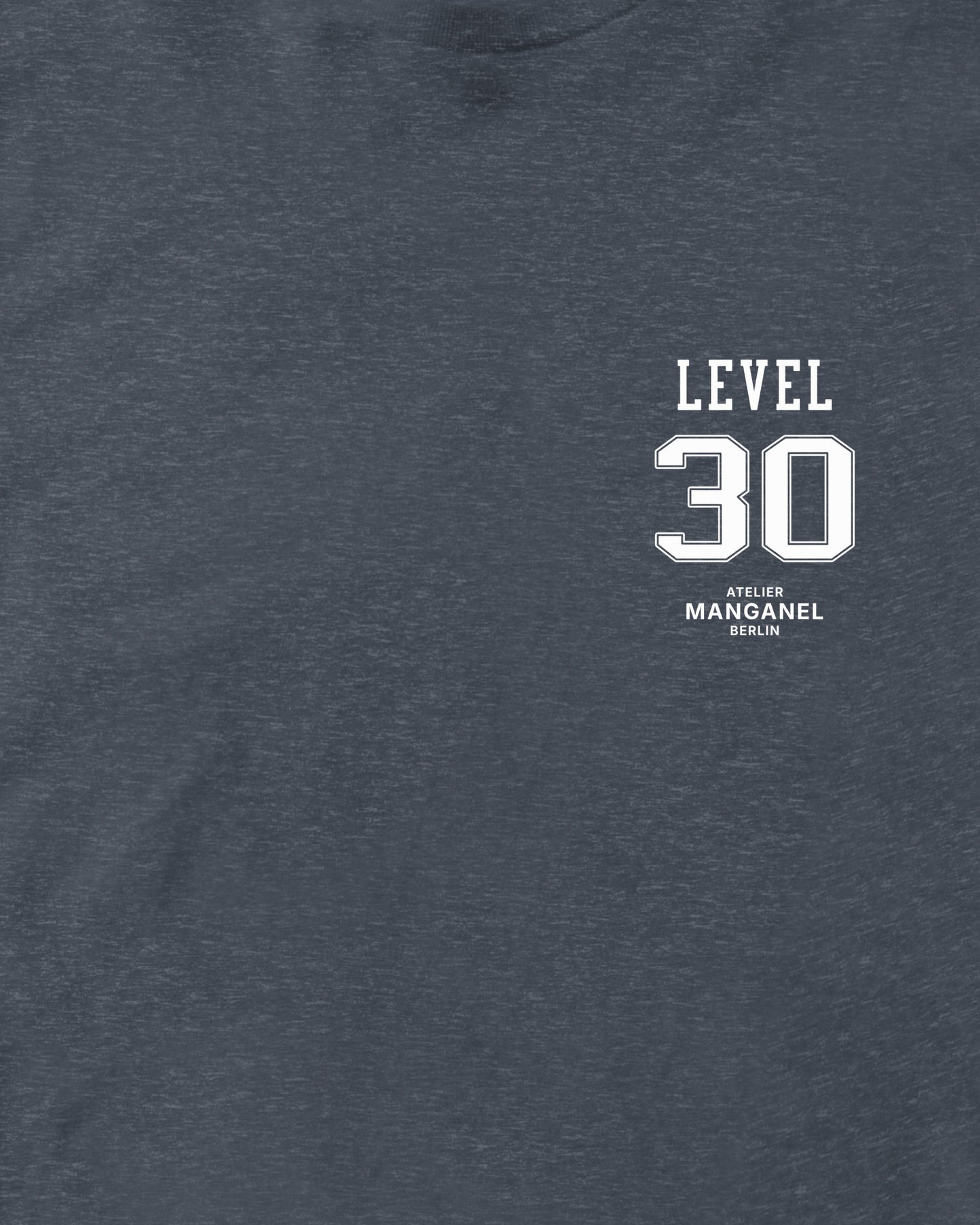 Level 30