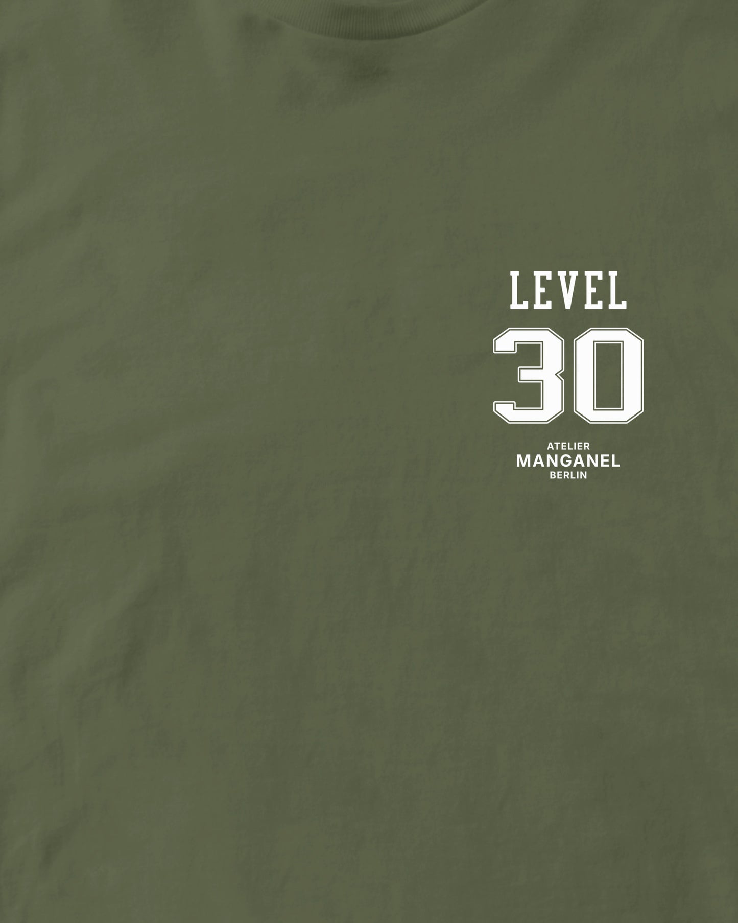 Level 30