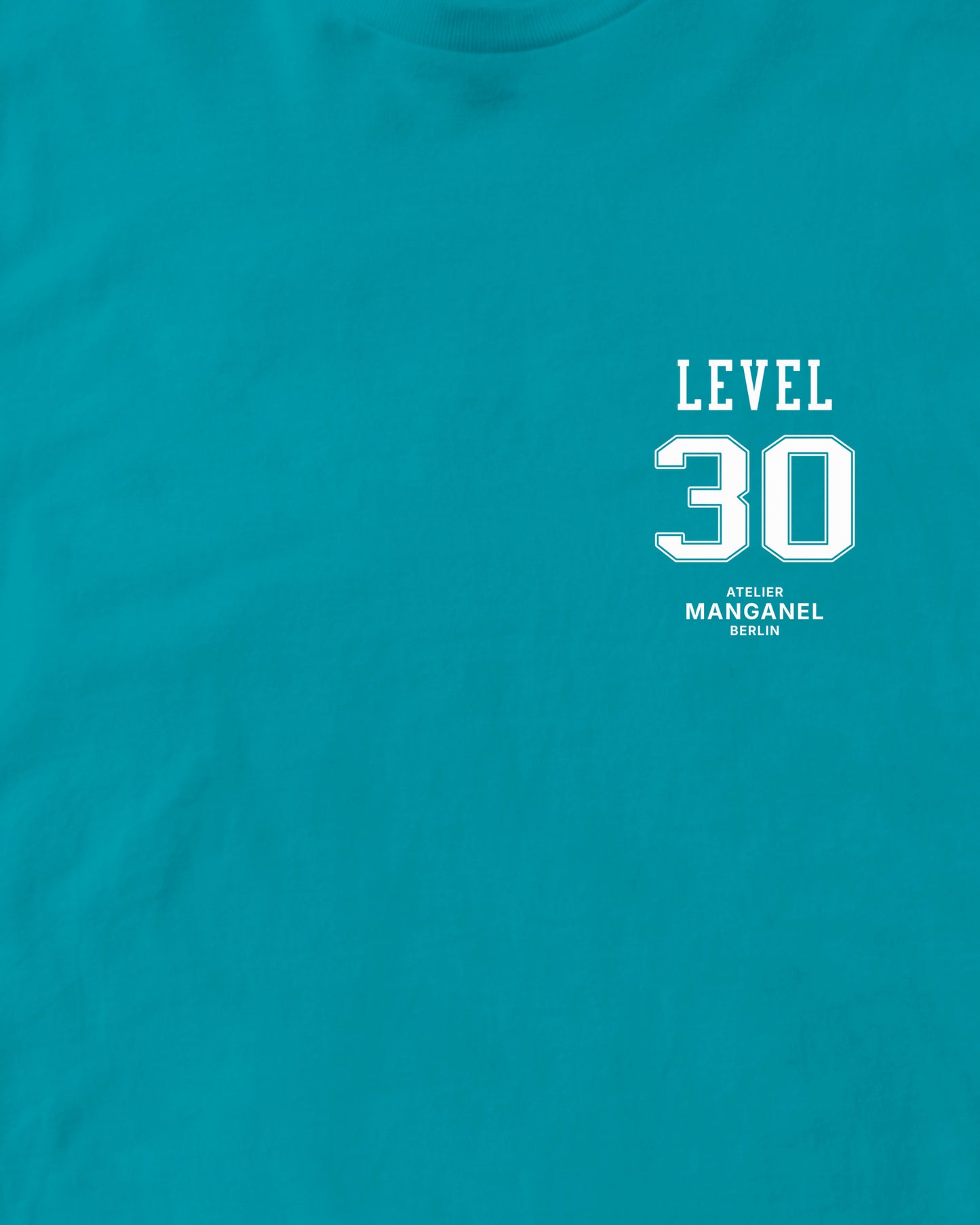 Level 30