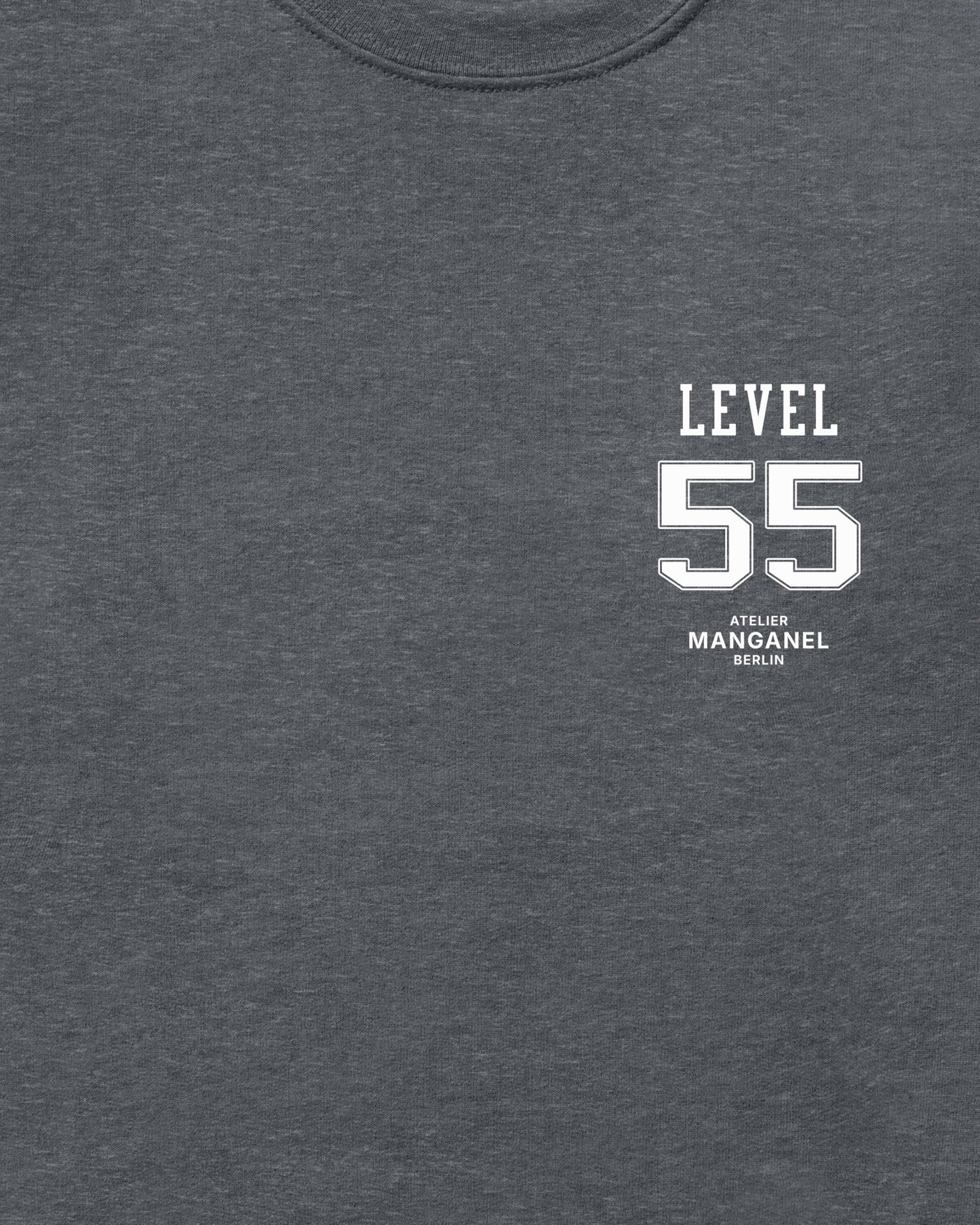 Level 55