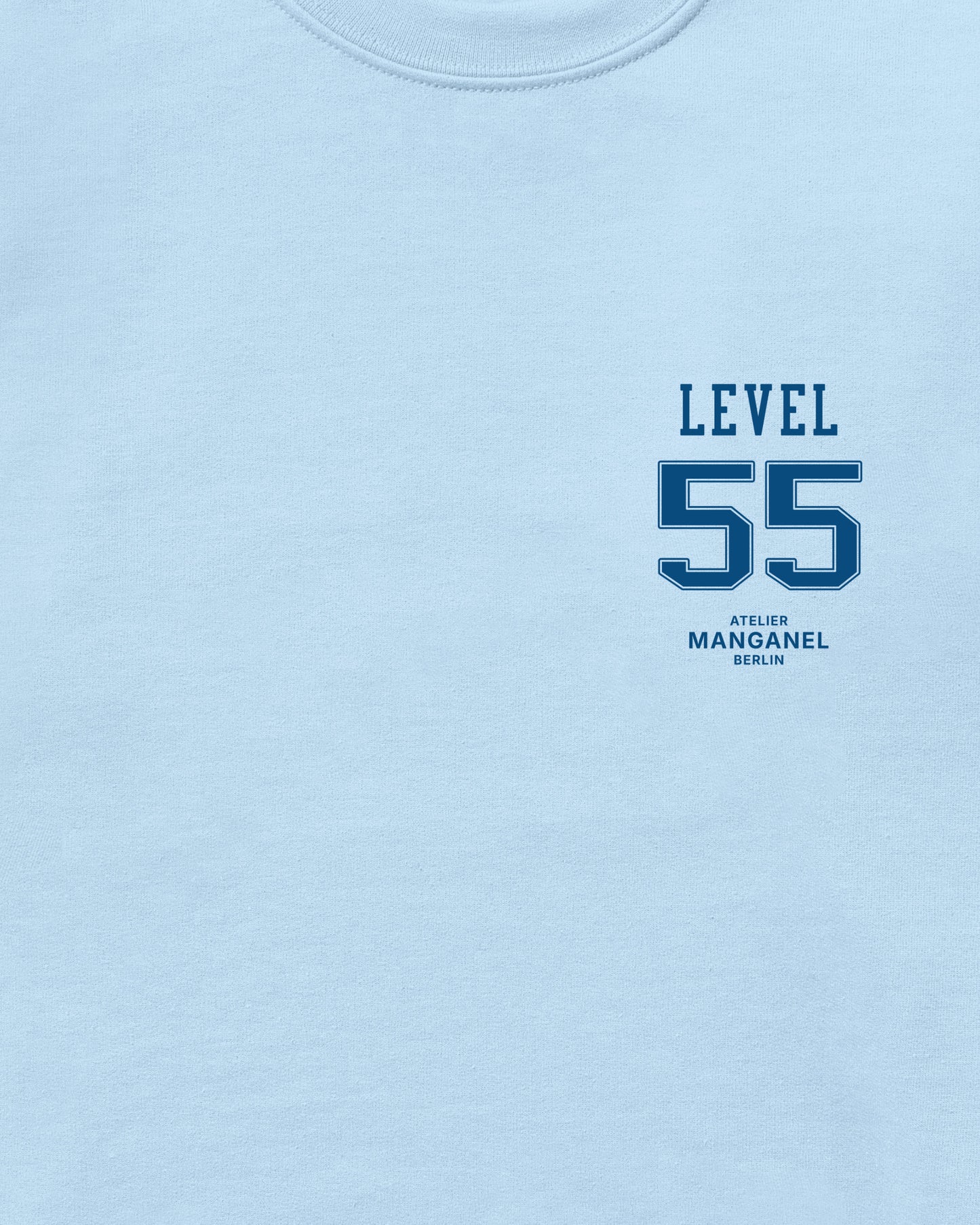 Level 55