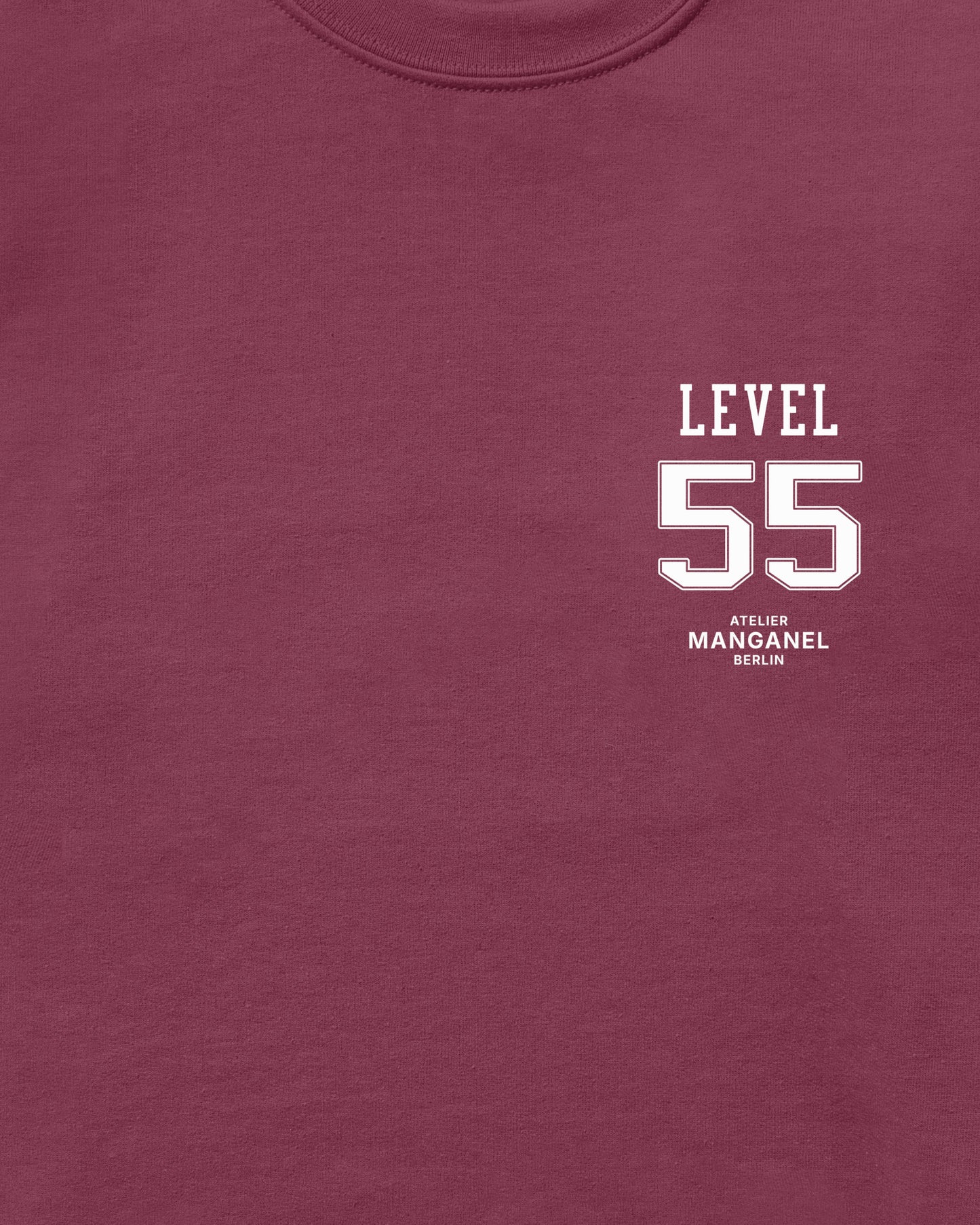 Level 55