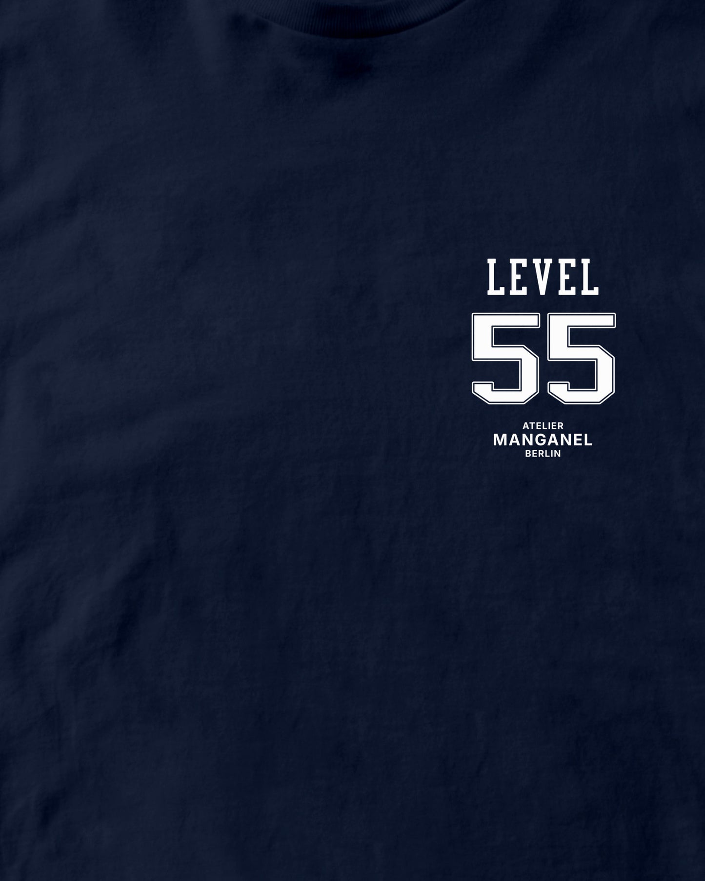 Level 55