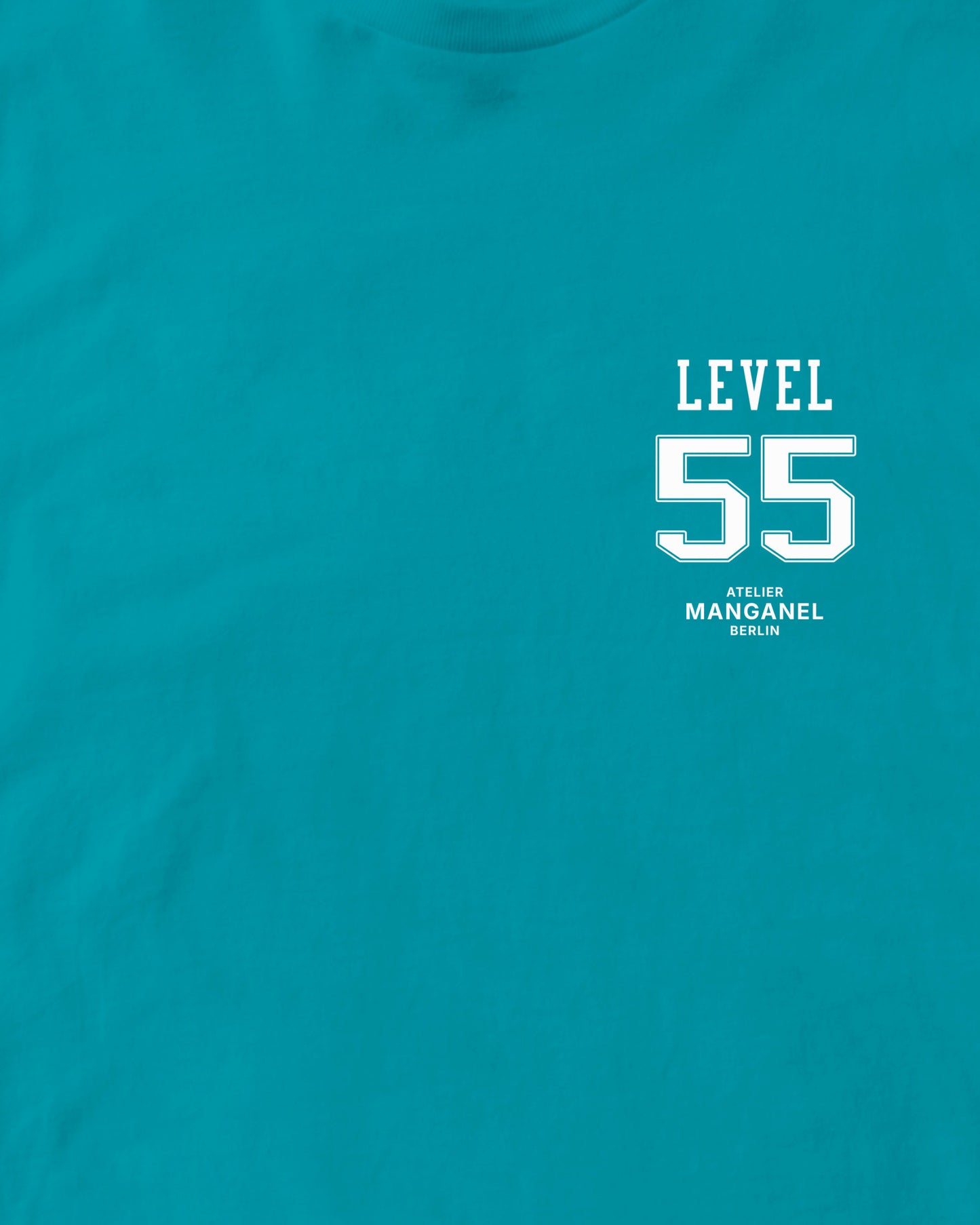 Level 55