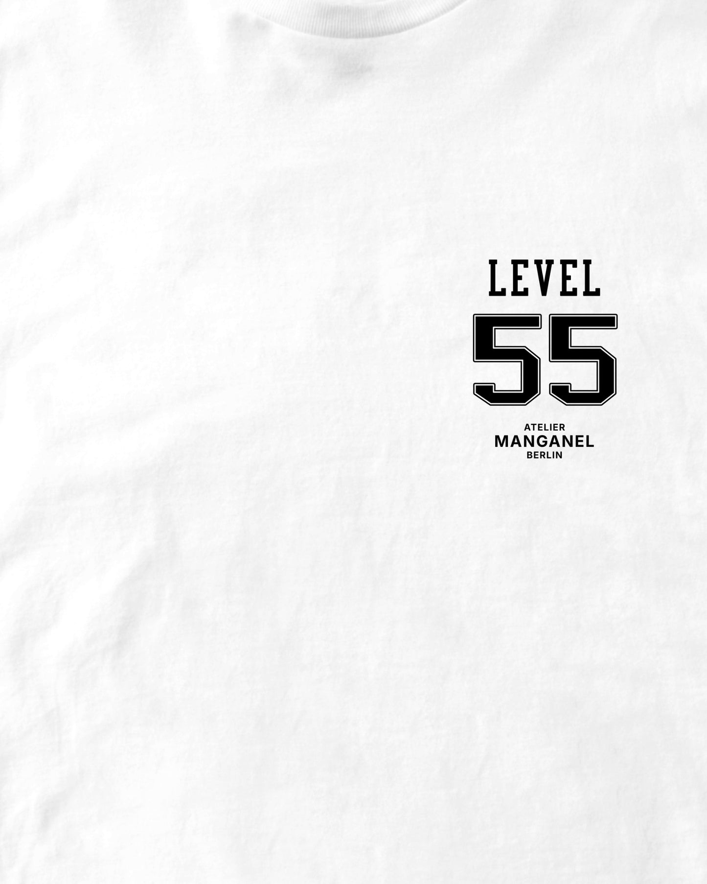 Level 55