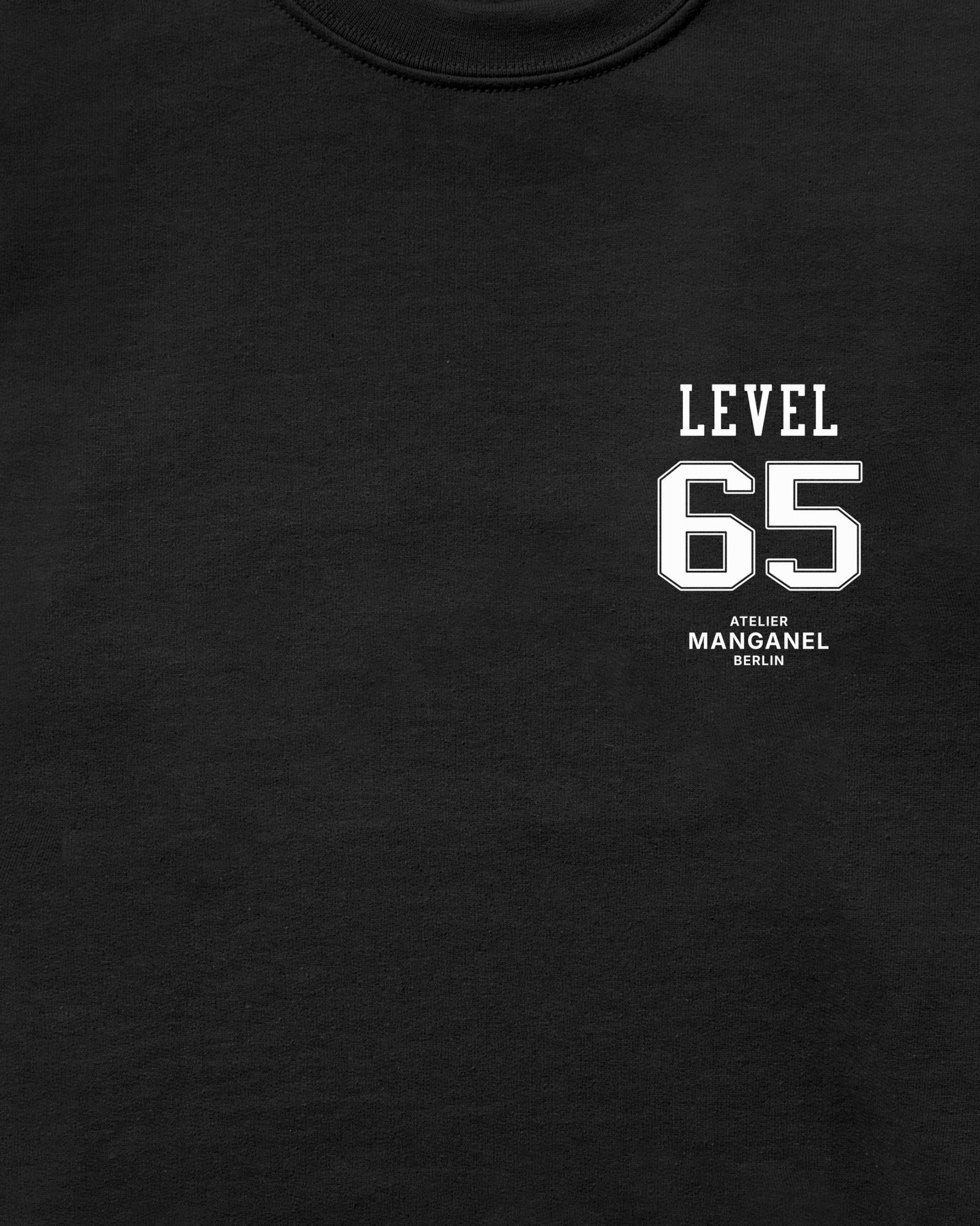Level 65