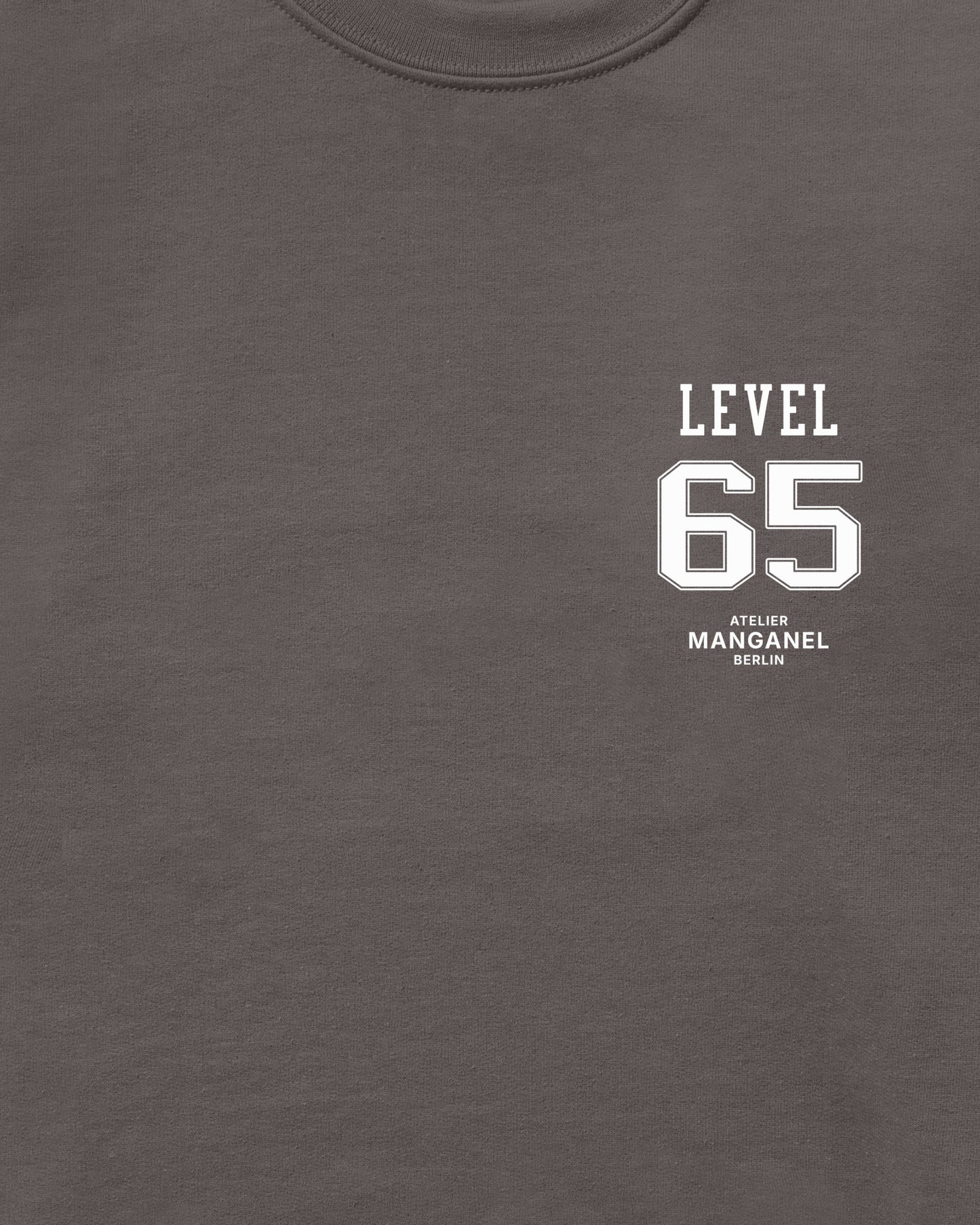Level 65