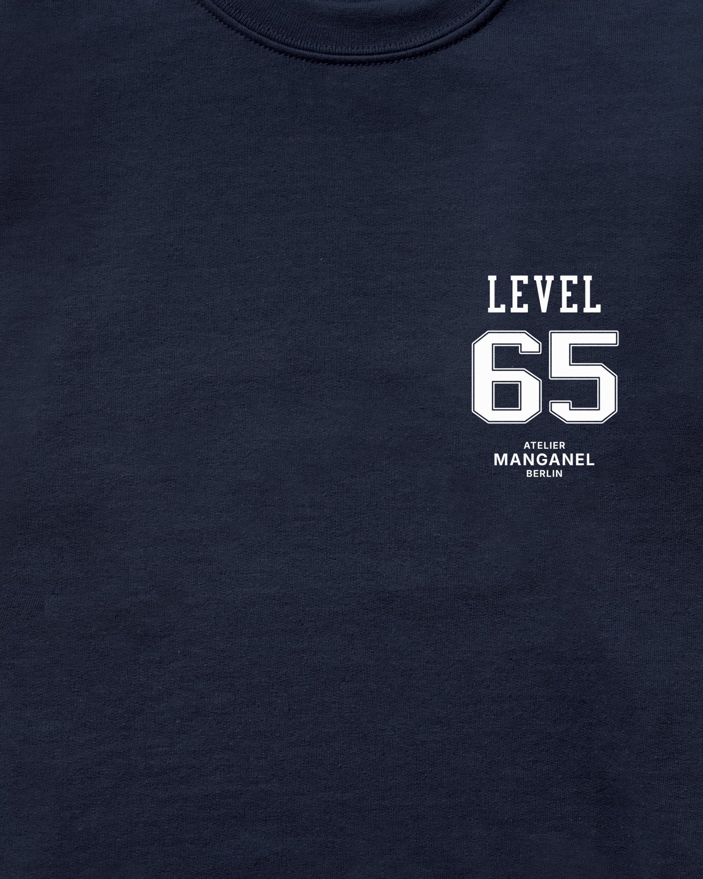 Level 65