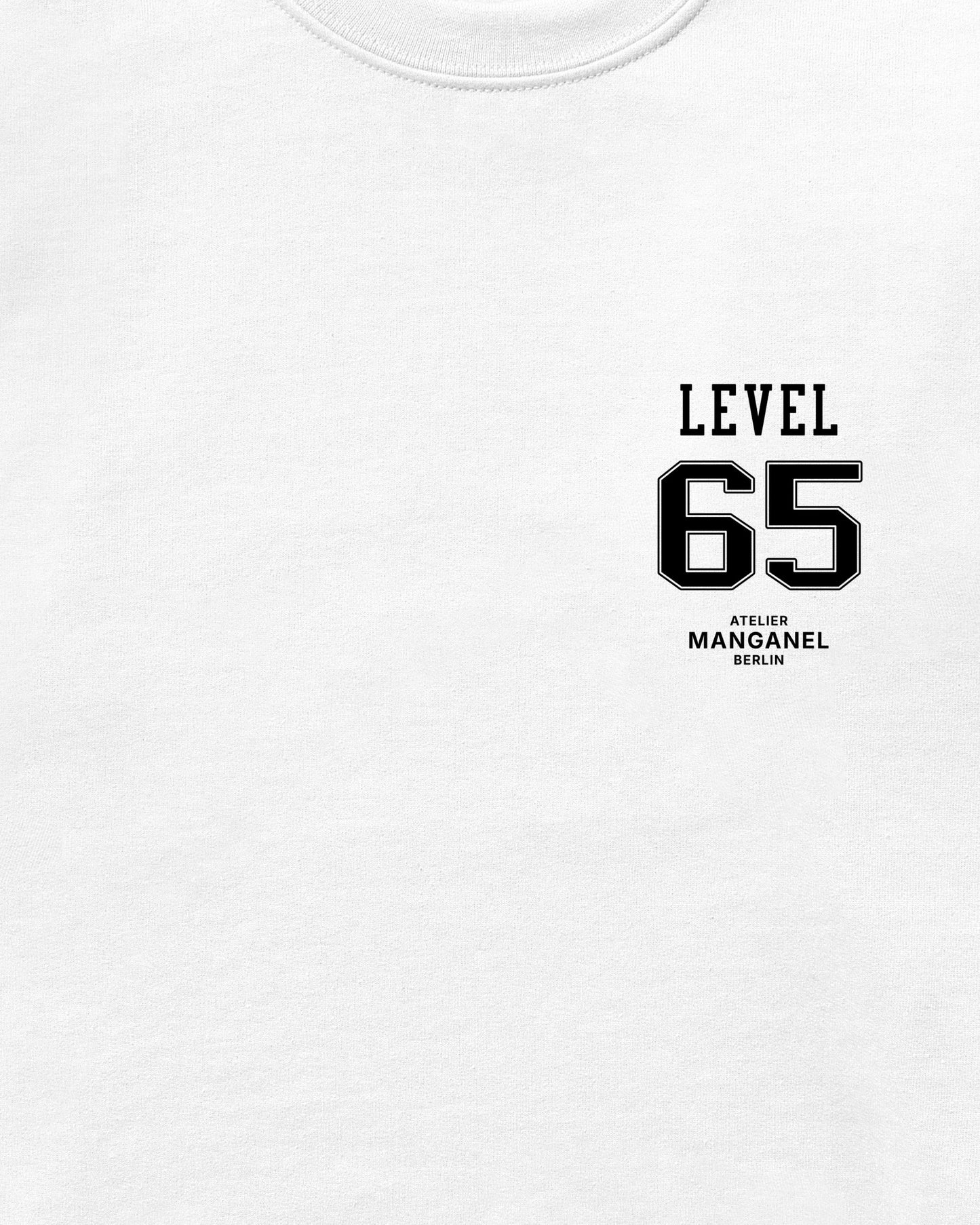 Level 65